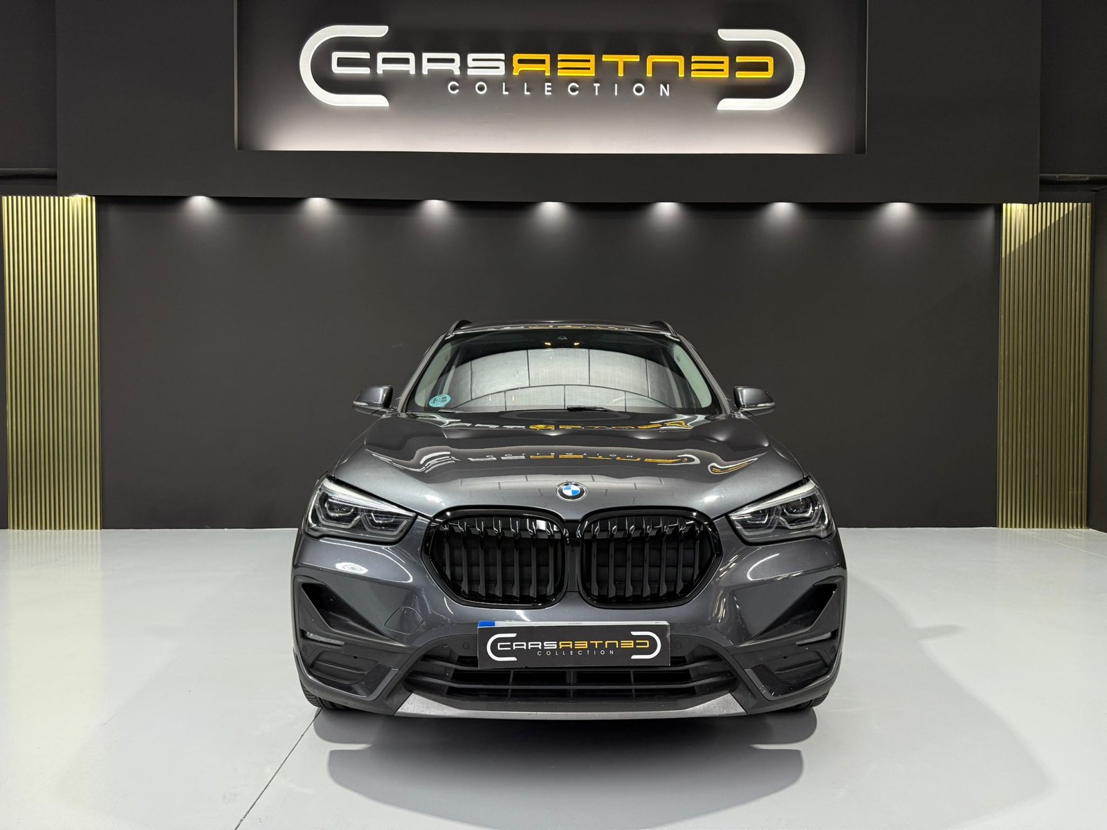BMW X1 sDrive16d Business