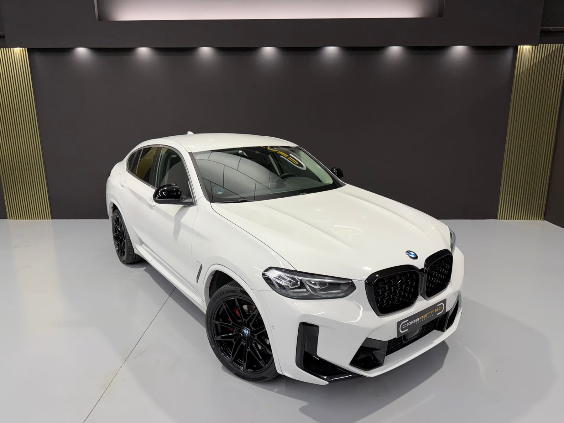 BMW X4 xDrive20d xLine