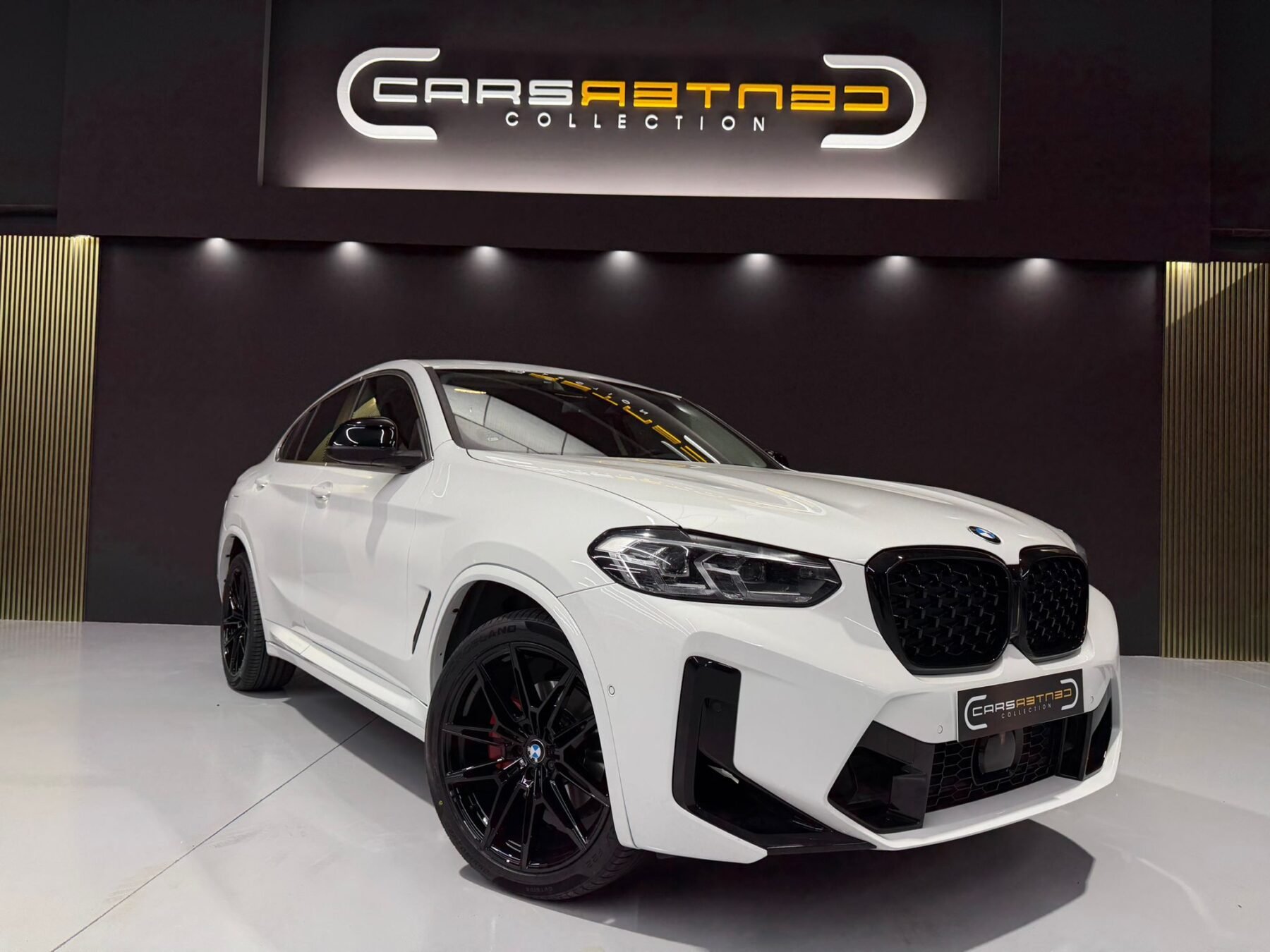 BMW X4 xDrive20d xLine